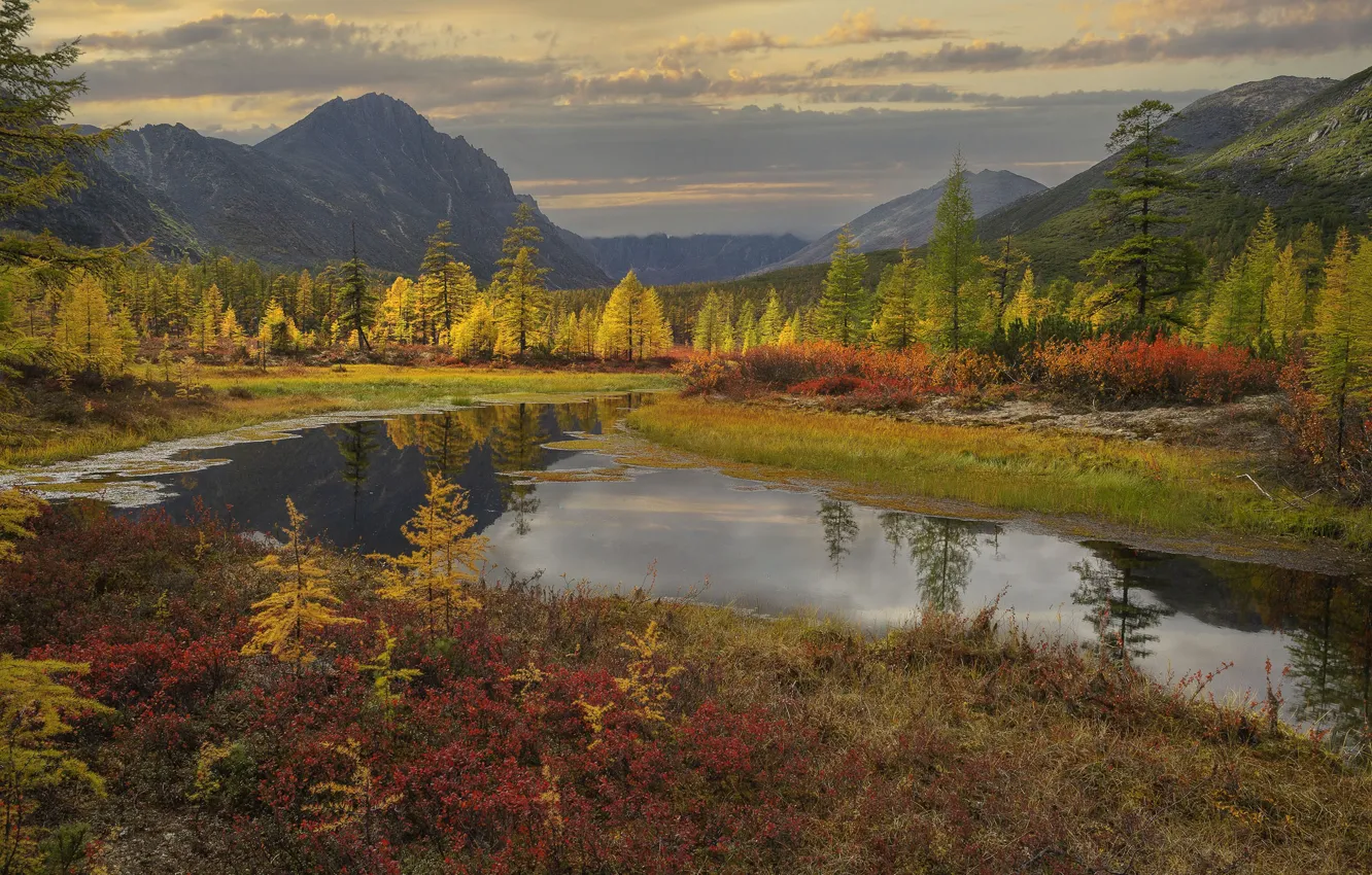 Photo wallpaper autumn, forest, landscape, mountains, nature, stream, Vladimir Ryabkov, Kolyma