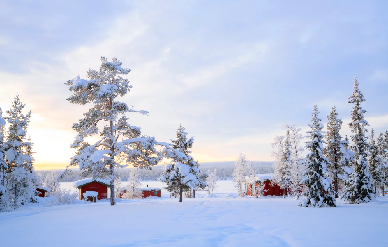 Photo wallpaper winter, snow, trees, landscape, winter, house, hut, landscape
