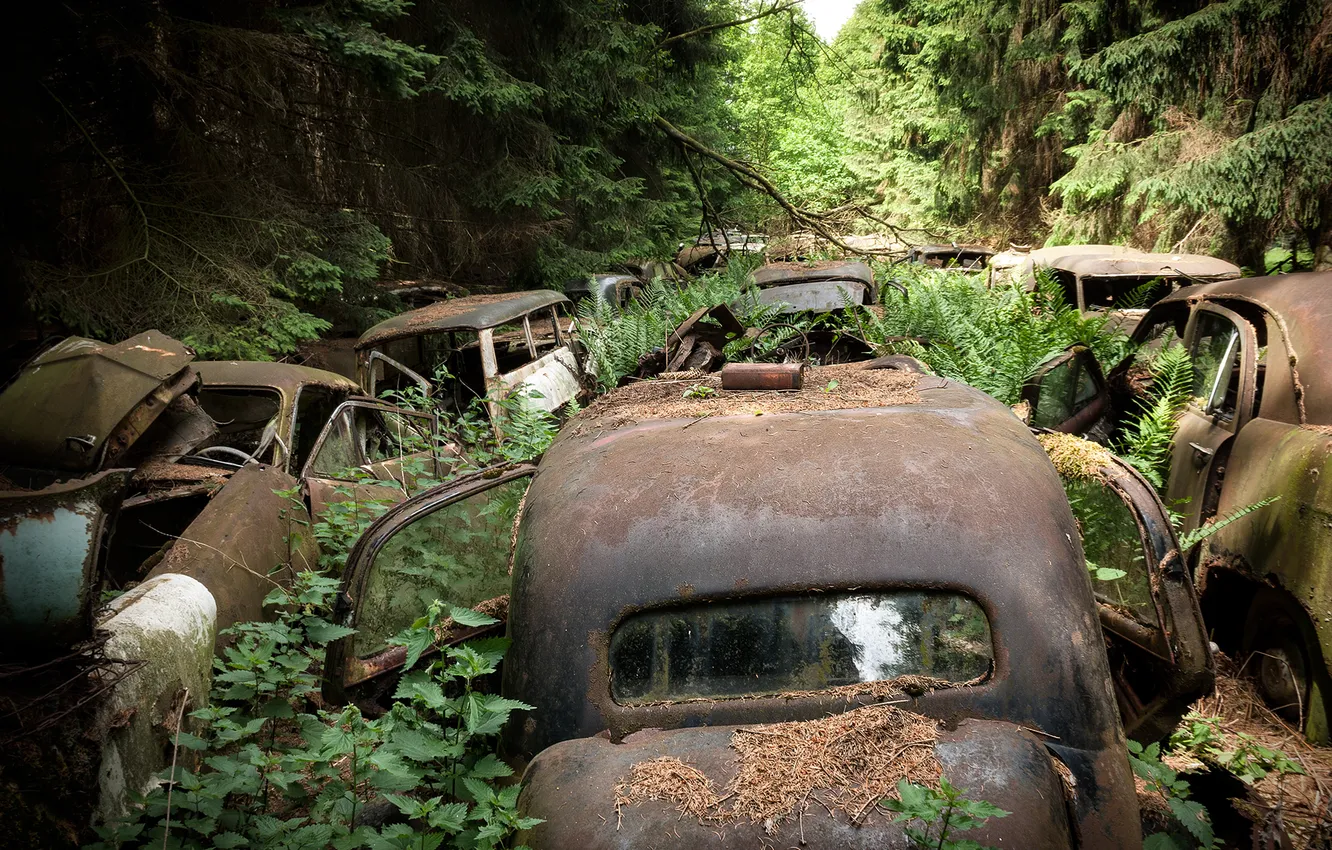 Photo wallpaper machine, background, scrap