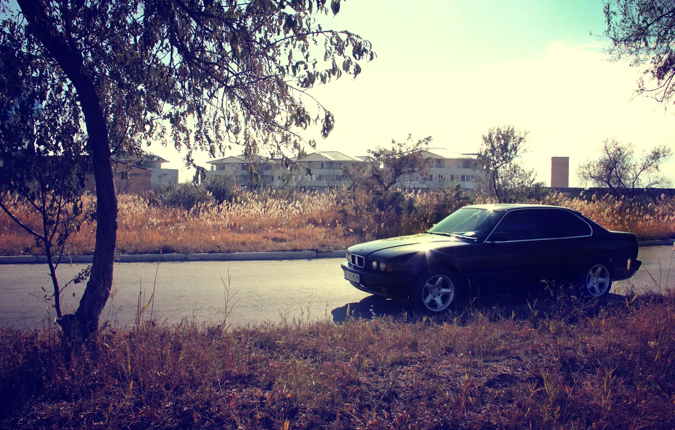 Photo wallpaper machine, autumn, grass, sunset, tree, bmw, BMW