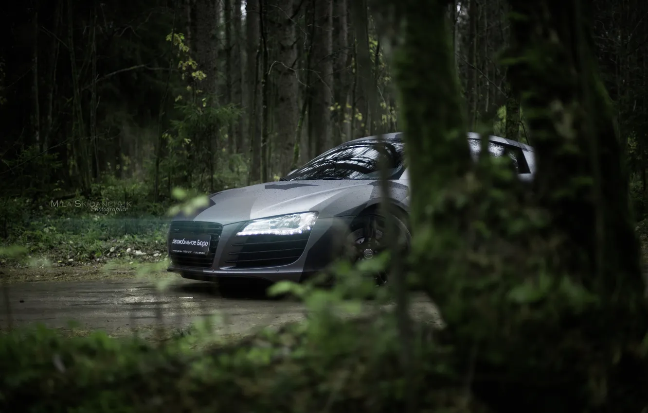 Photo wallpaper car, machine, auto, forest, fog, rain, Audi, audi