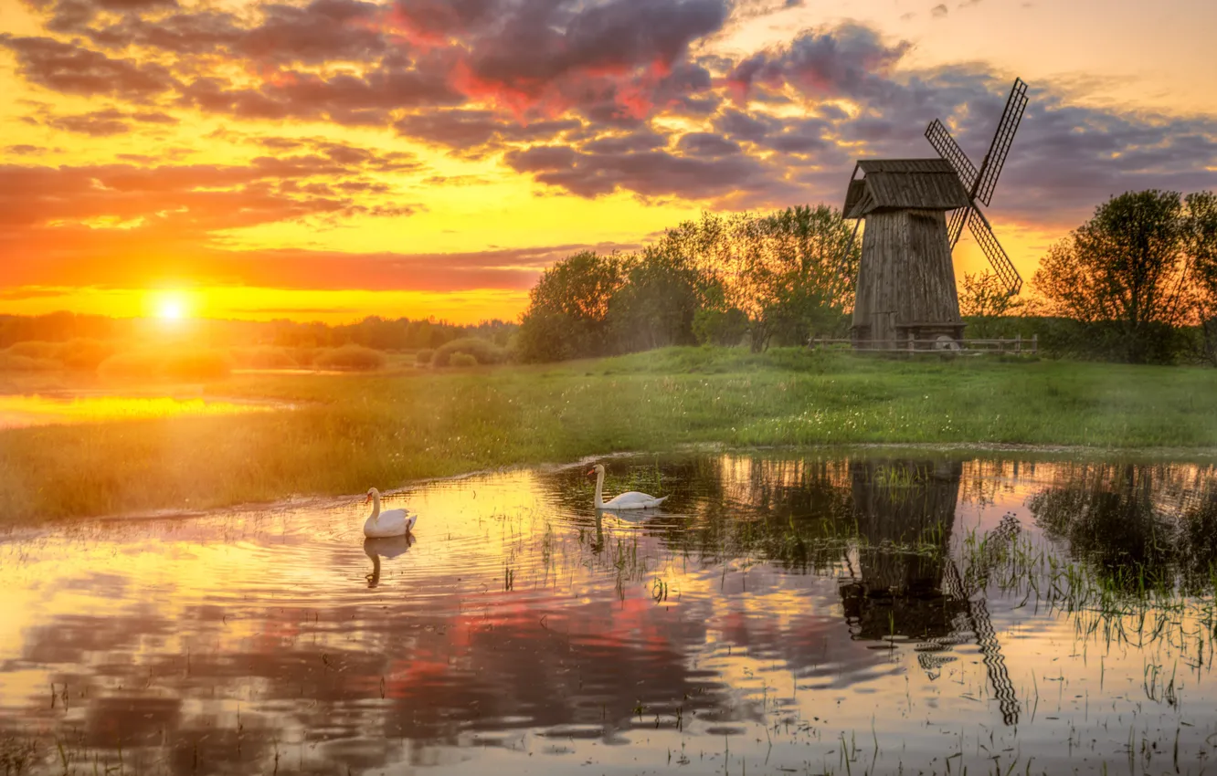 Photo wallpaper the sky, clouds, sunset, nature, river, spring, mill, swans