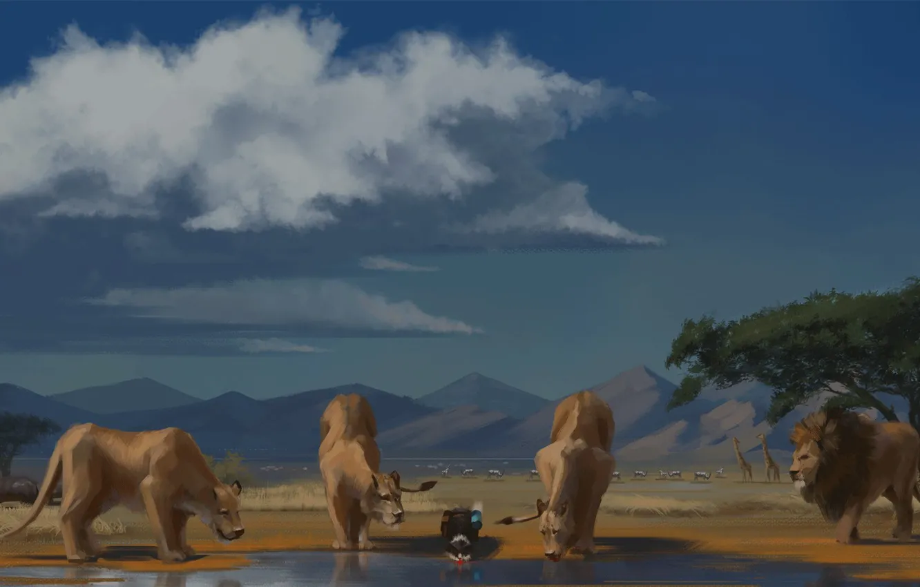 Photo wallpaper cat, lake, Leo, artist, Savannah, drink, Andrew Biological, cat's journey