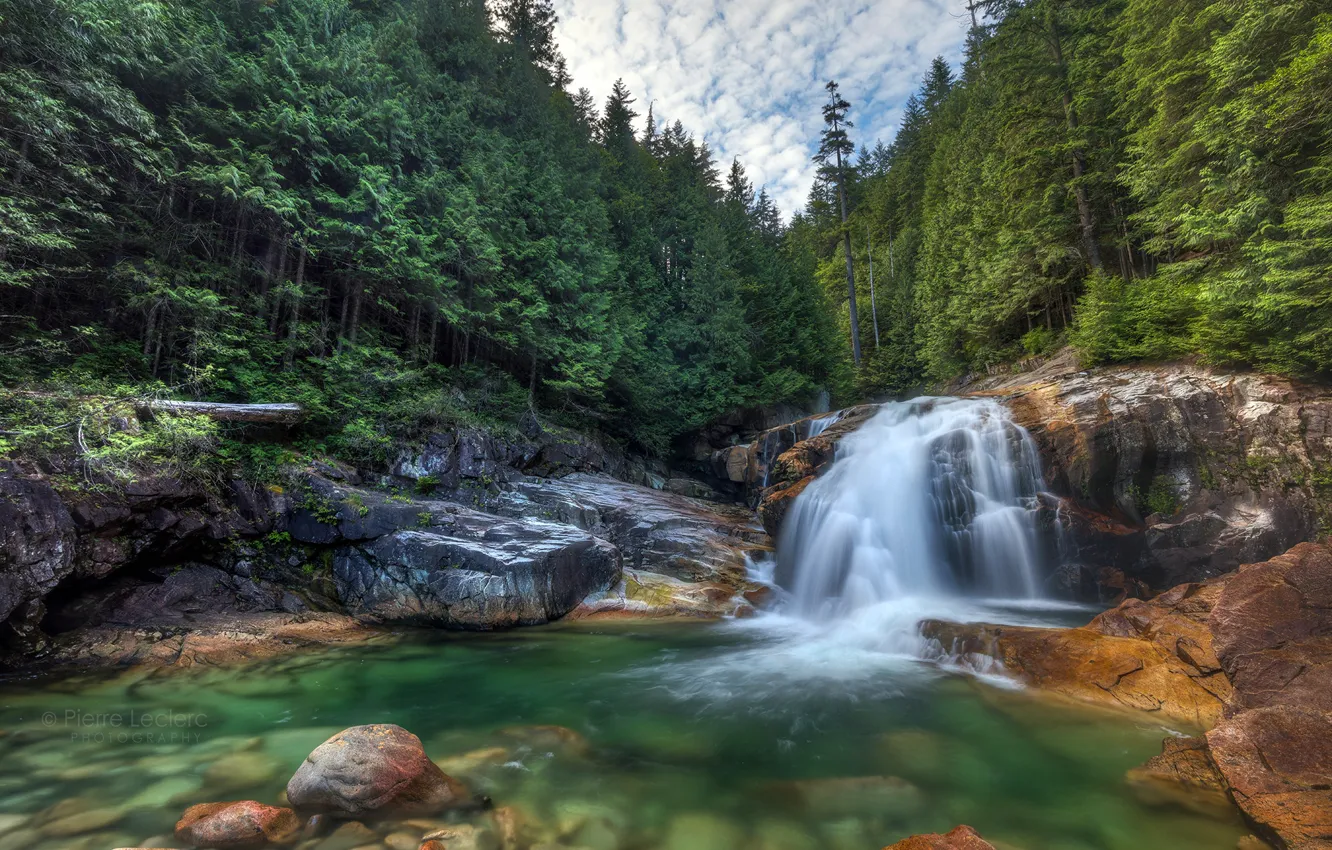 Photo wallpaper forest, river, waterfall, Canada, Canada, British Columbia, British Columbia, Lower Falls