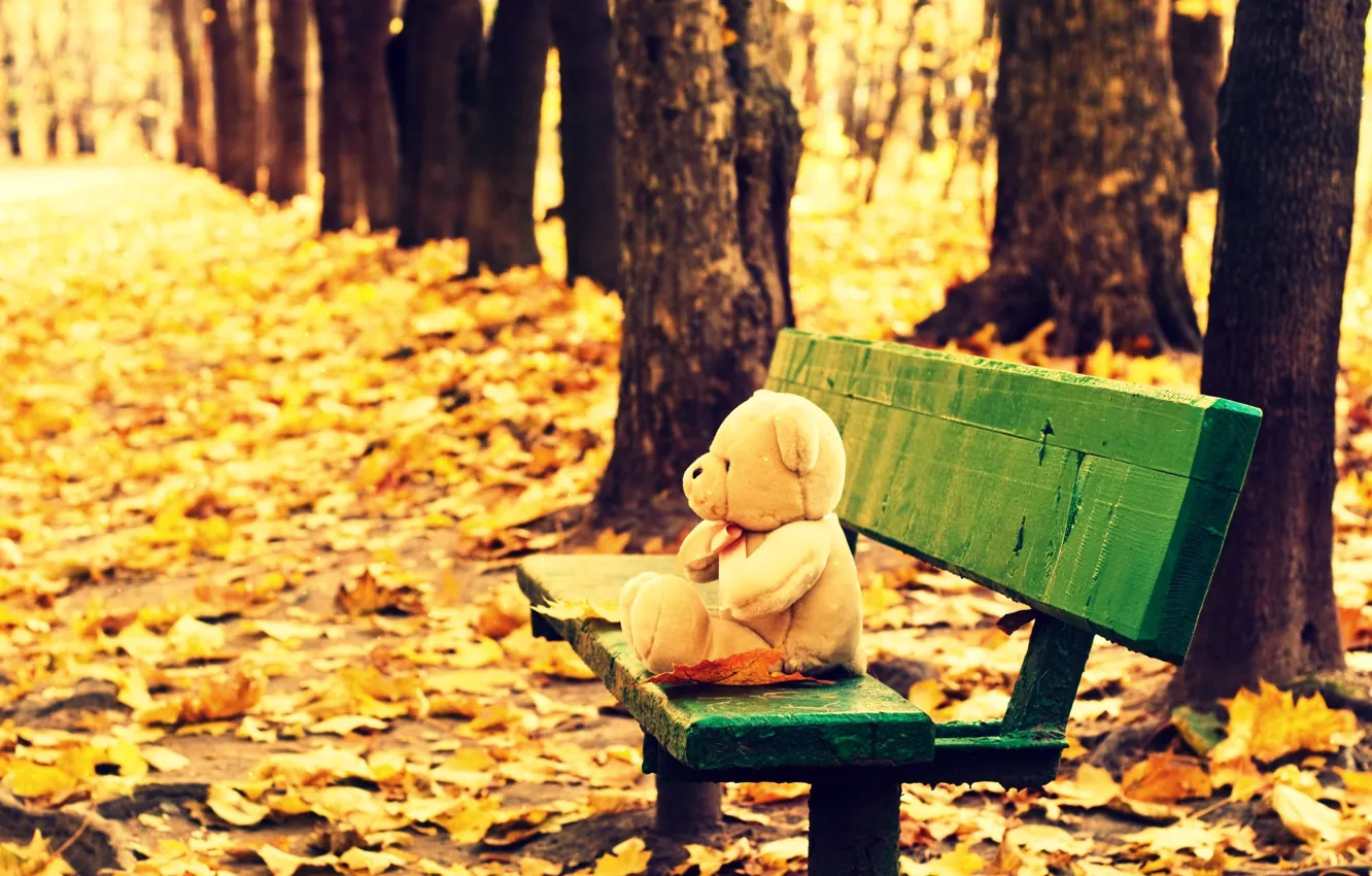 Photo wallpaper autumn, leaves, trees, bench, yellow, background, mood, Wallpaper