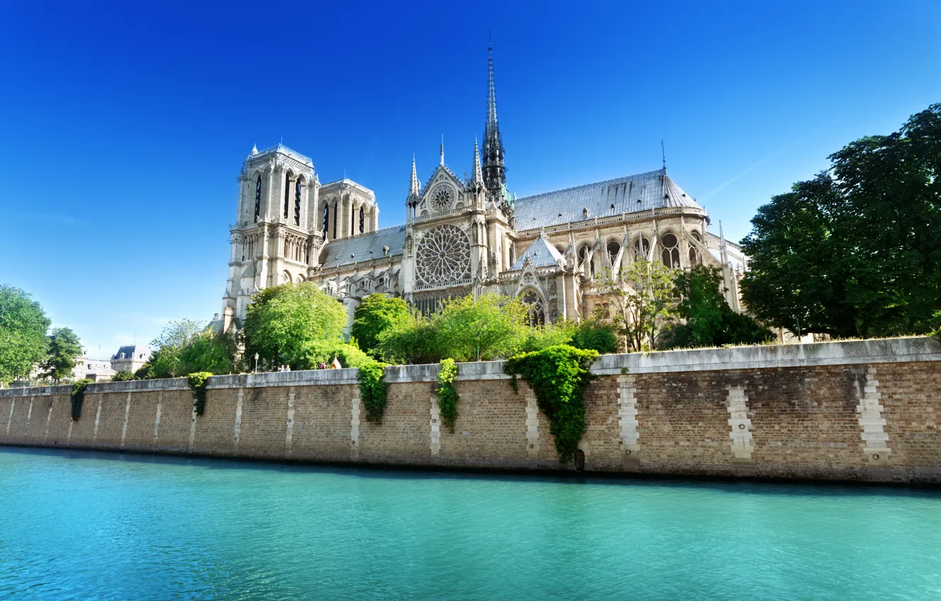Photo wallpaper greens, summer, water, trees, the city, river, France, Paris