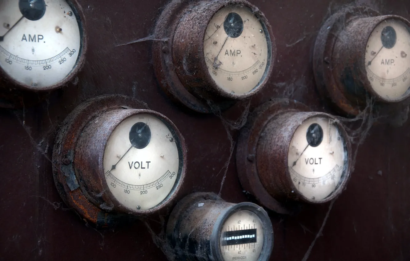 Photo wallpaper macro, background, devices