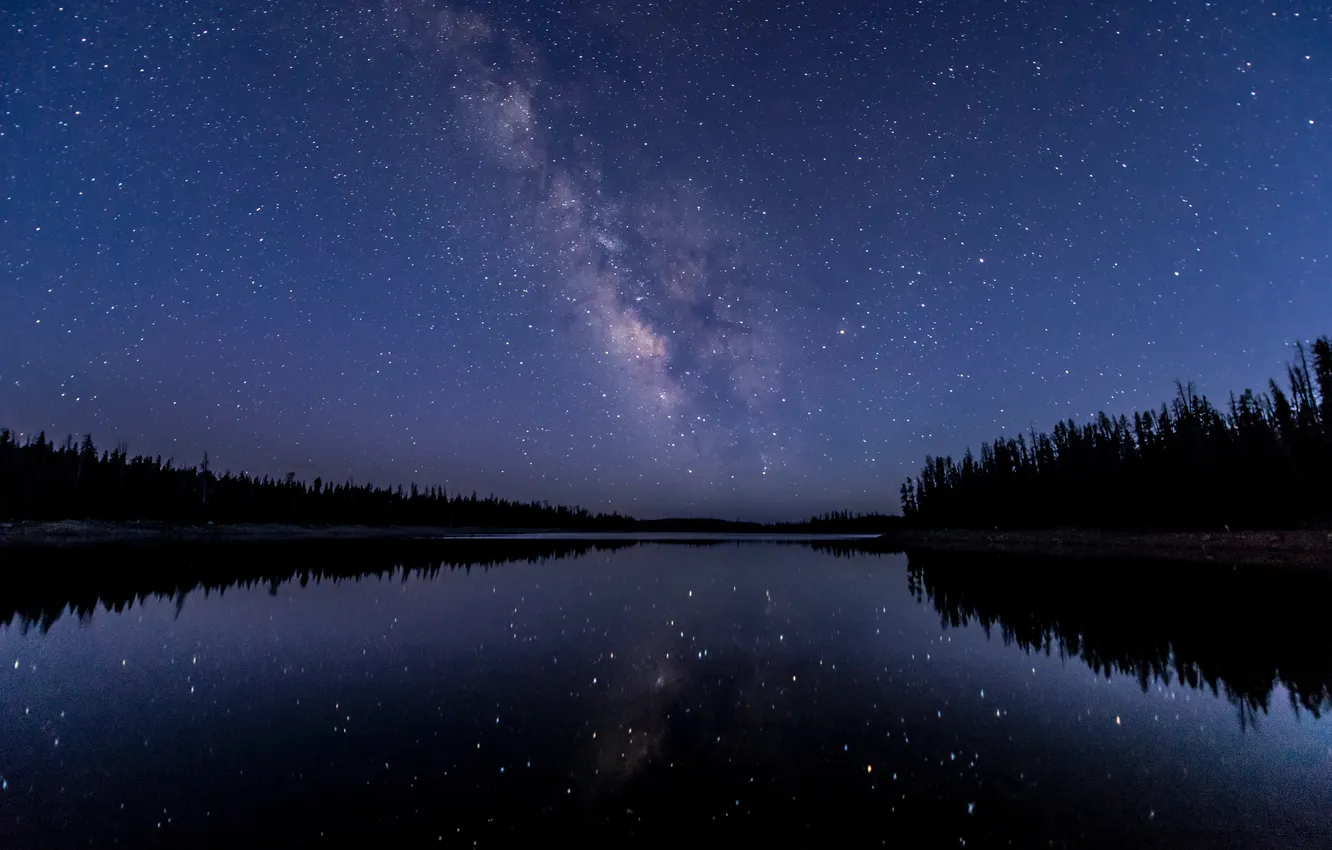 Photo wallpaper forest, trees, landscape, night, nature, lake, forest, the milky way