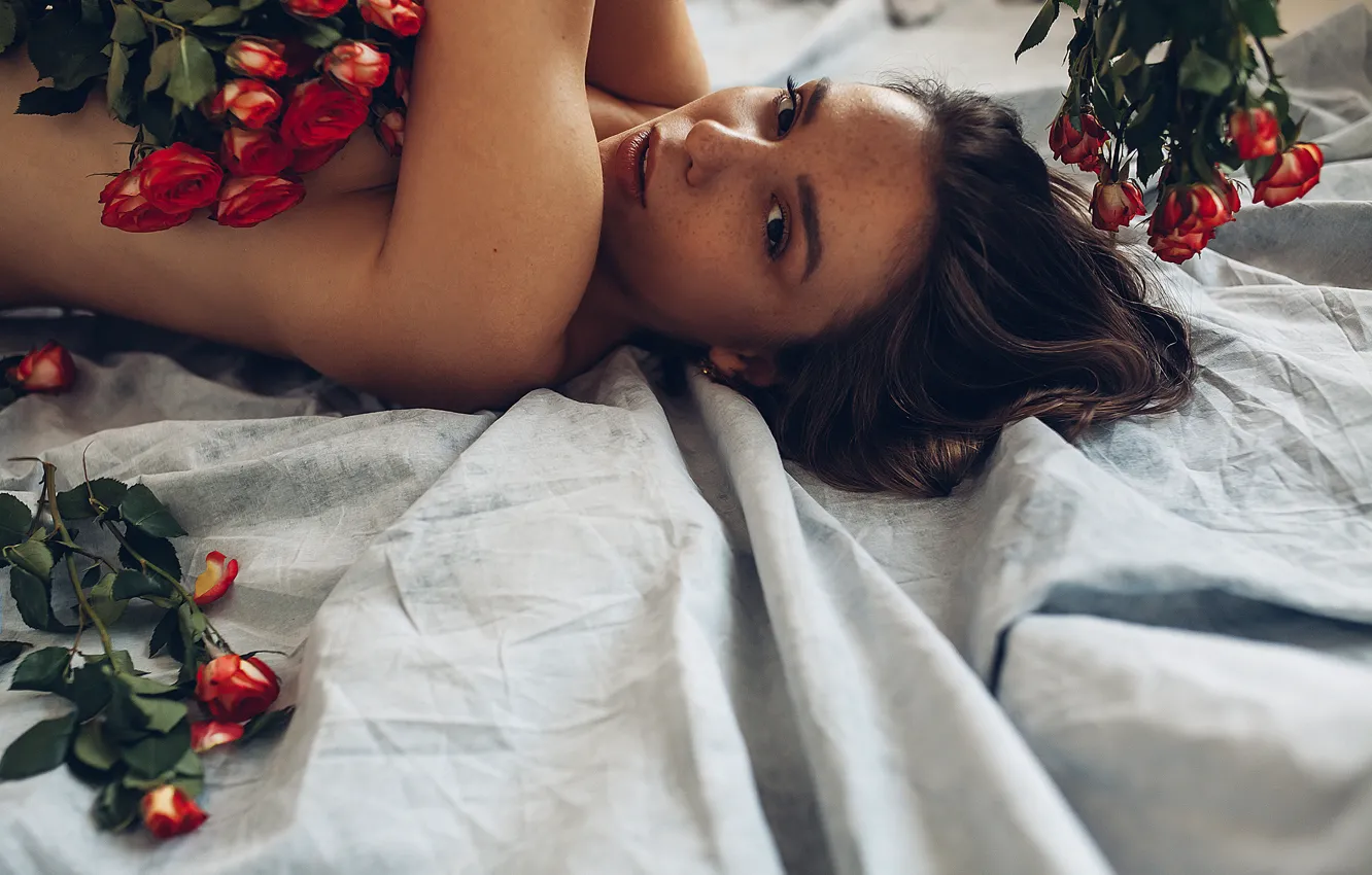 Photo wallpaper roses, petals, freckles, sponge, Rome Rome, Polina Azarov