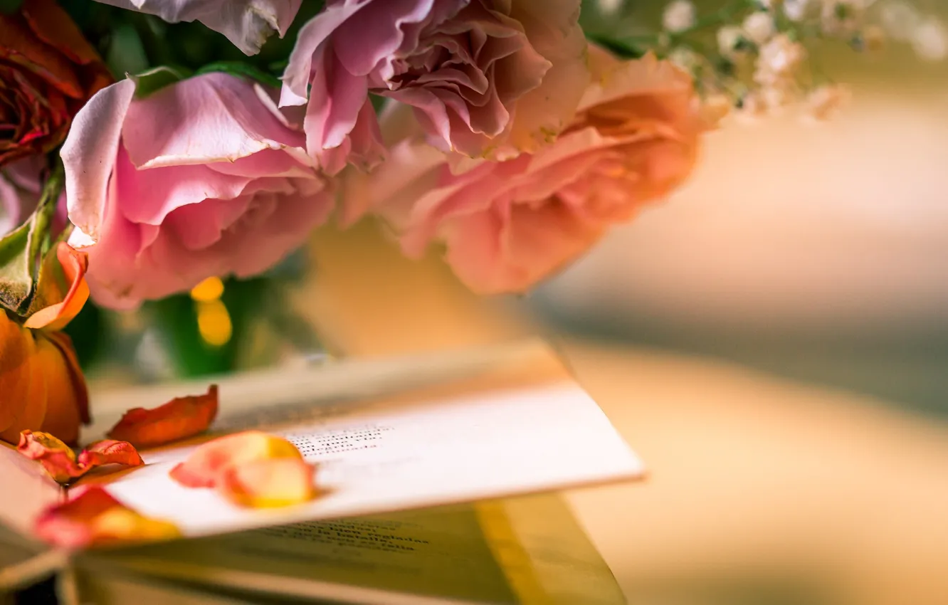 Photo wallpaper flowers, style, roses, petals, book