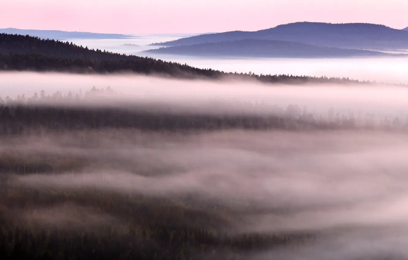 Photo wallpaper mountains, fog, morning