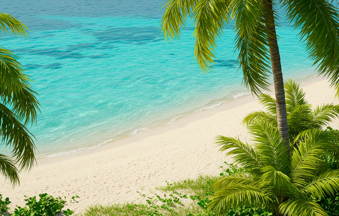 Photo wallpaper sand, beach, tropics, palm trees, background, the ocean, Wallpaper, shore