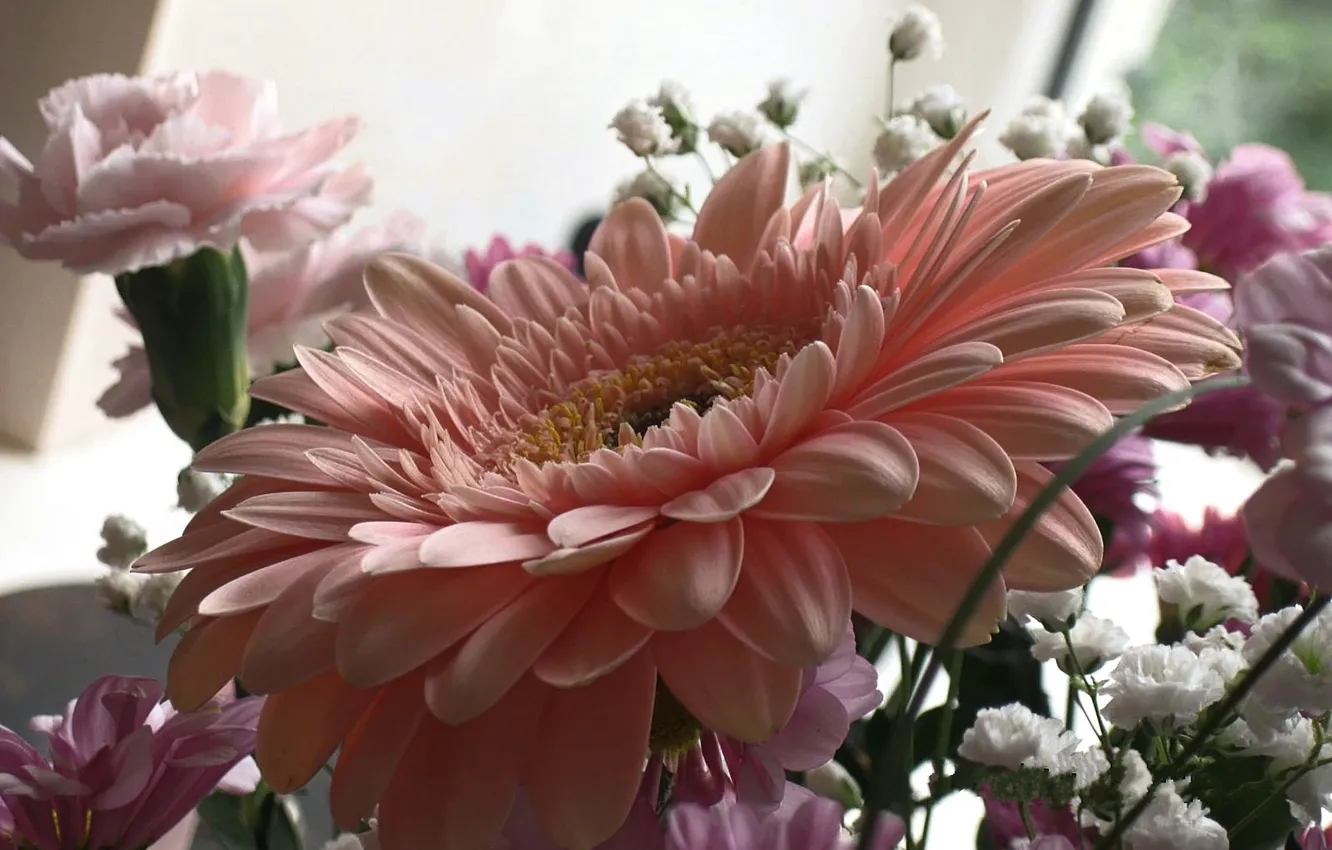 Photo wallpaper pink, Flowers, gerbera