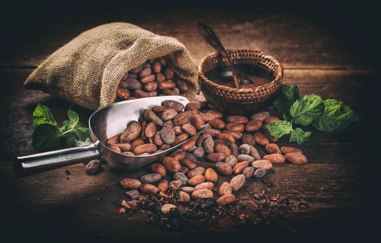 Photo wallpaper bowl, cocoa beans, Board, bag, cocoa, scoop, mint