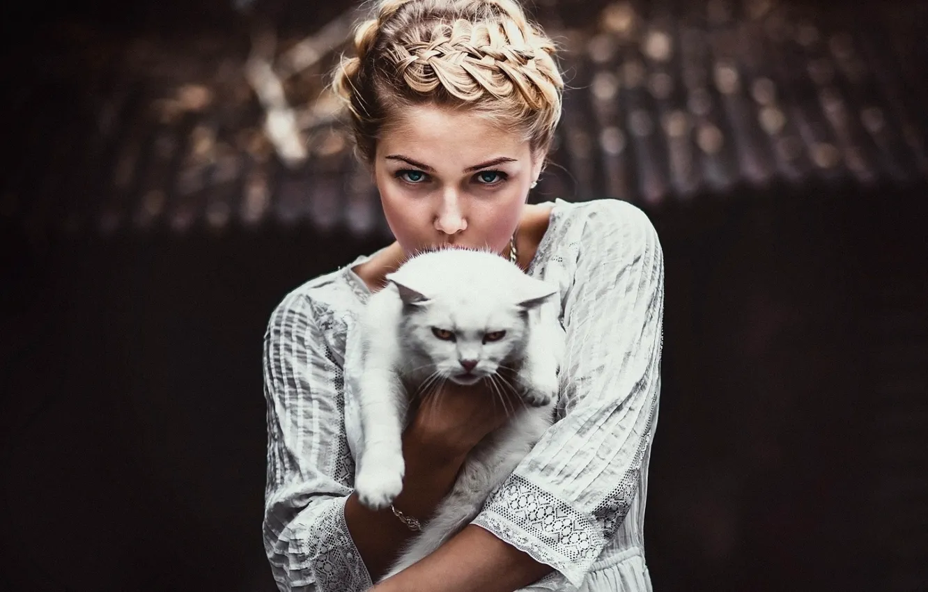 Photo wallpaper girl, Model, photo, cat, blue eyes, braid, bokeh, blonde