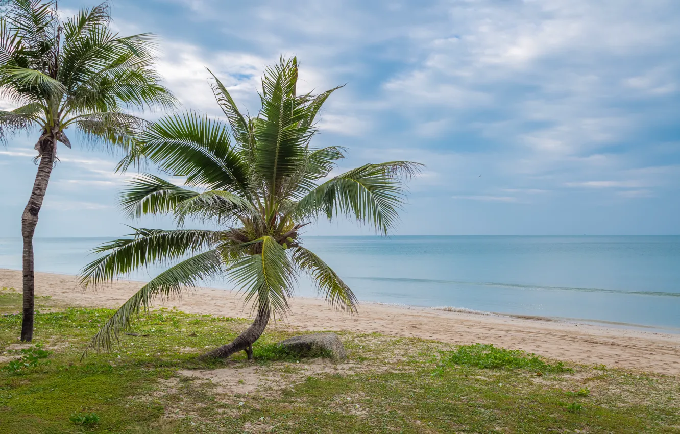 Photo wallpaper sand, sea, beach, summer, the sky, the sun, palm trees, shore