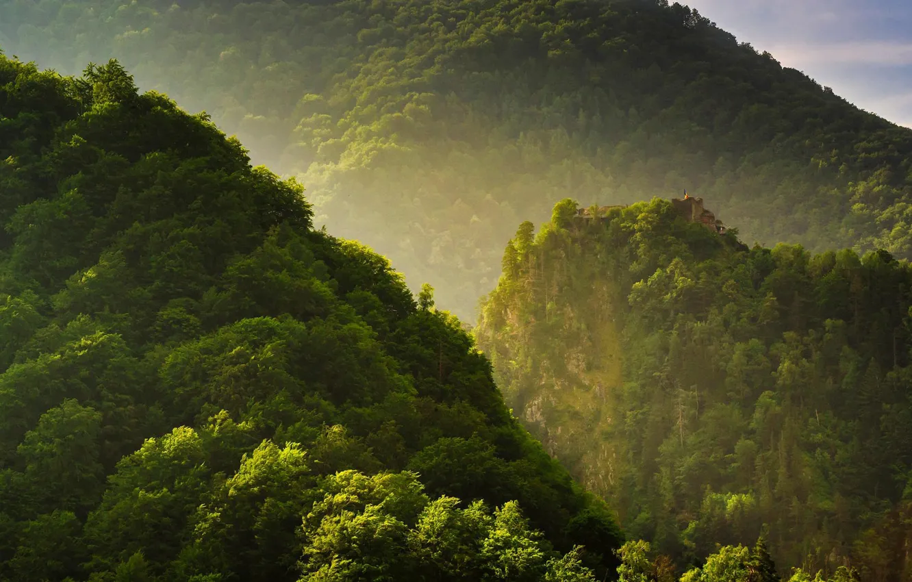 Photo wallpaper trees, castle, Romania, the Fagaras mountains, Poenari