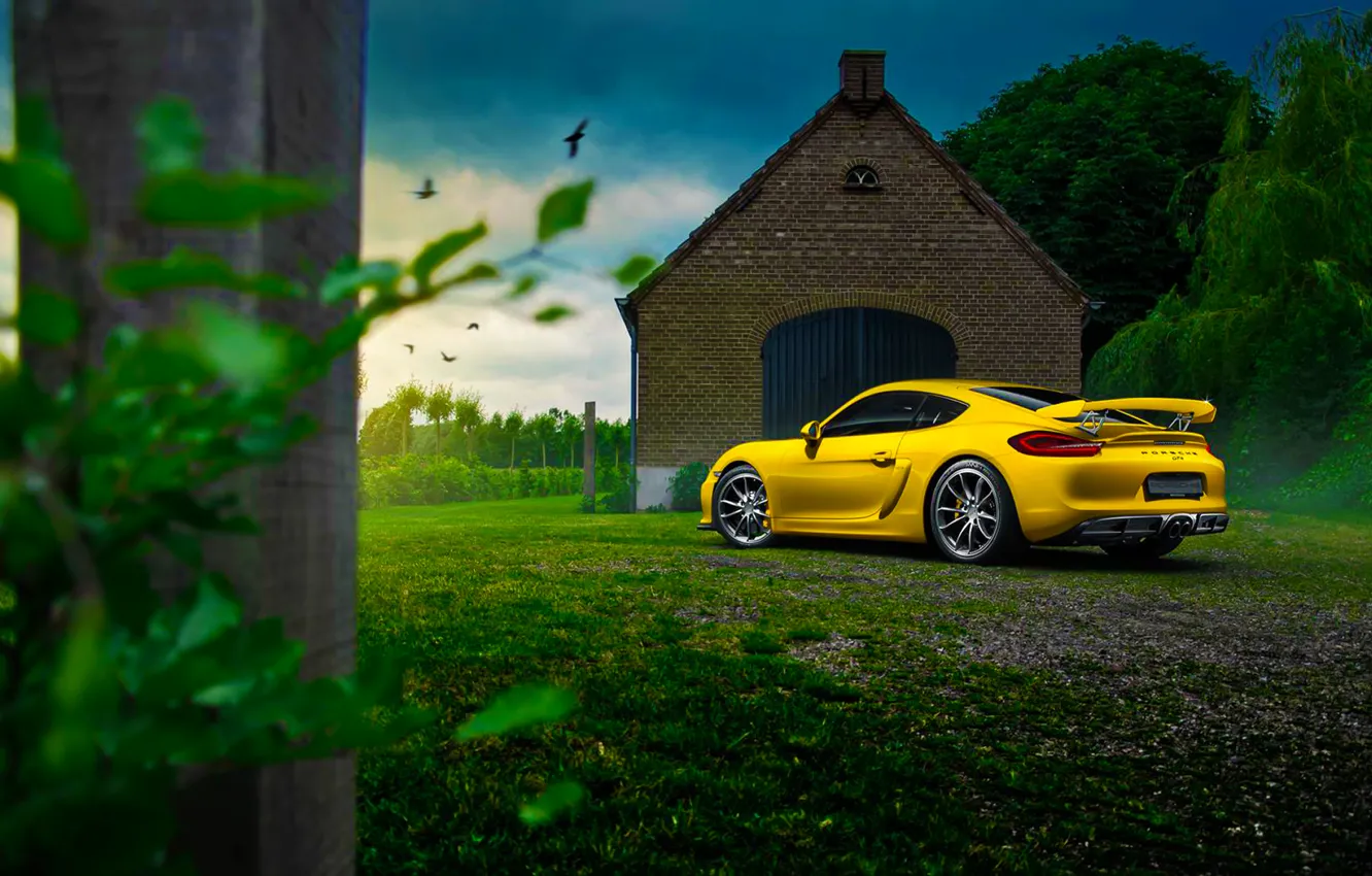Photo wallpaper Porsche, Cayman, Car, Nature, Color, Yellow, Summer, GT4