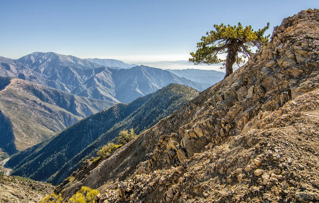 Photo wallpaper Canada, USA, USA, Canada, British Columbia, Oregon, California, Washington