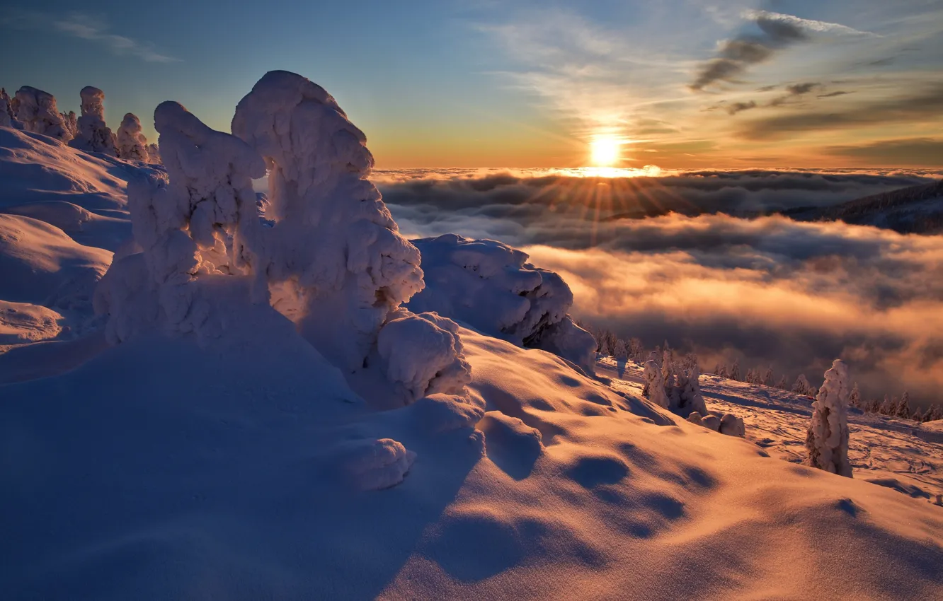 Photo wallpaper winter, the sun, clouds, rays, snow, trees, landscape, sunset
