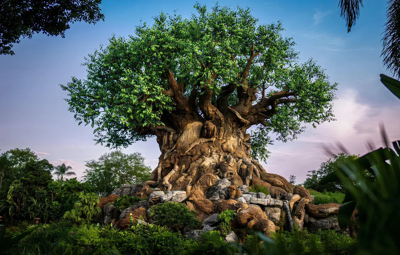 Photo wallpaper forest, trees, roots, animal, foliage