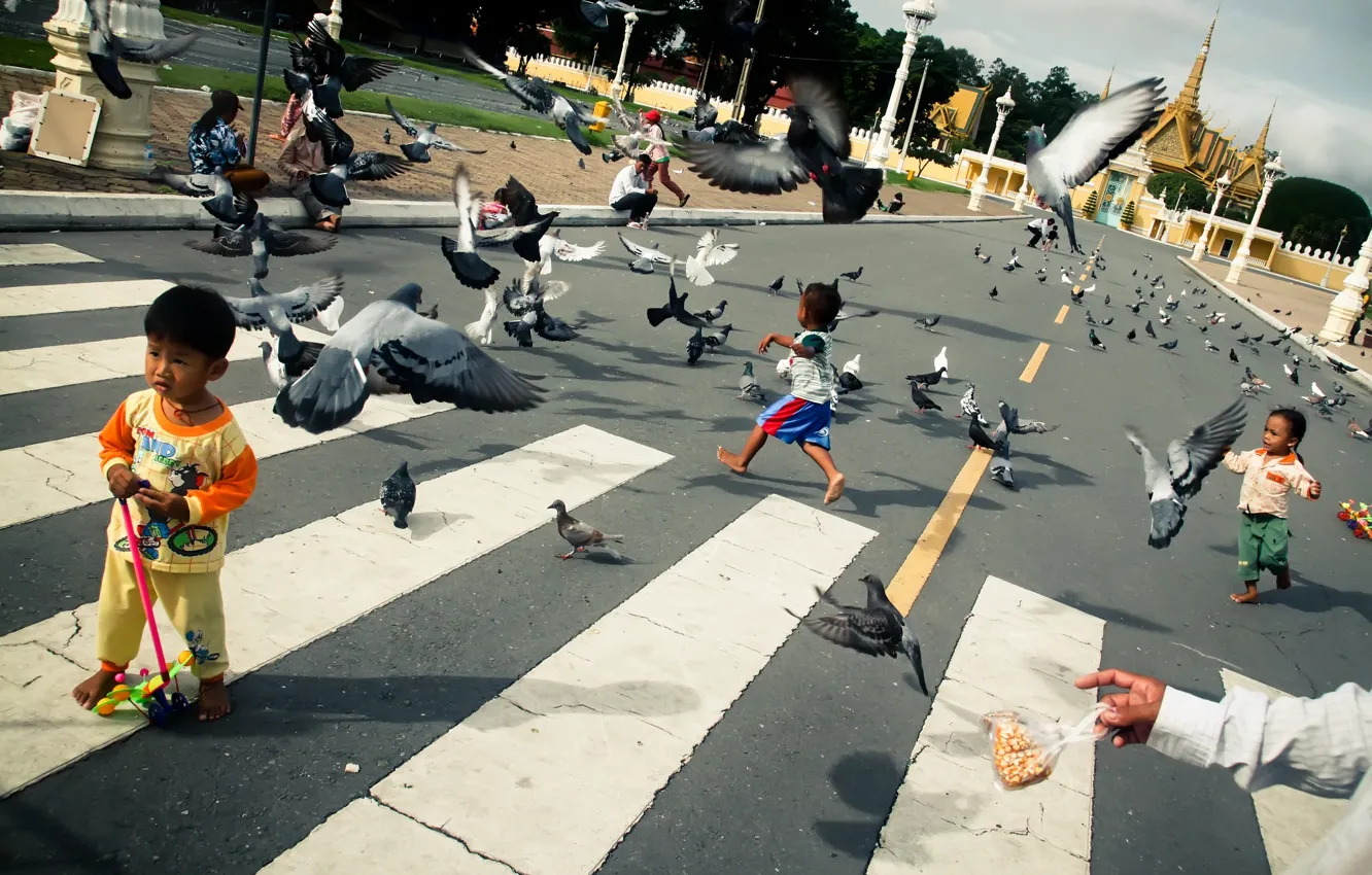Photo wallpaper road, children, pigeons