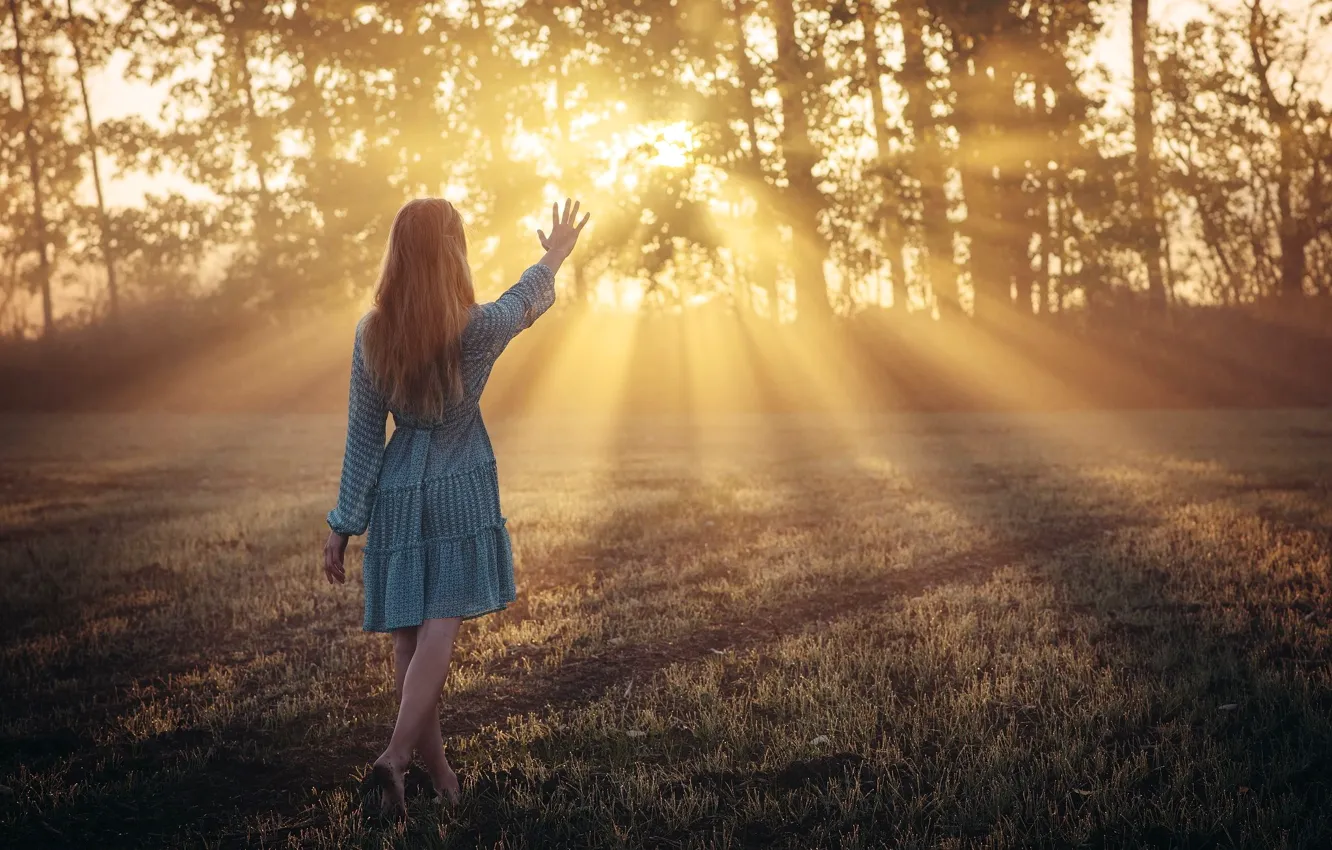 Photo wallpaper girl, light, morning, fairy