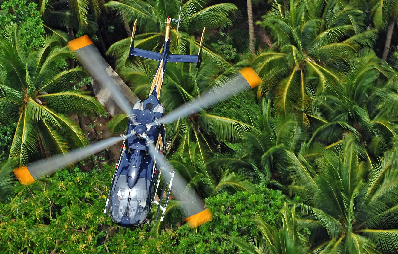 Photo wallpaper jungle, flight, helicopter, blades, multipurpose, Eurocopter, EC145