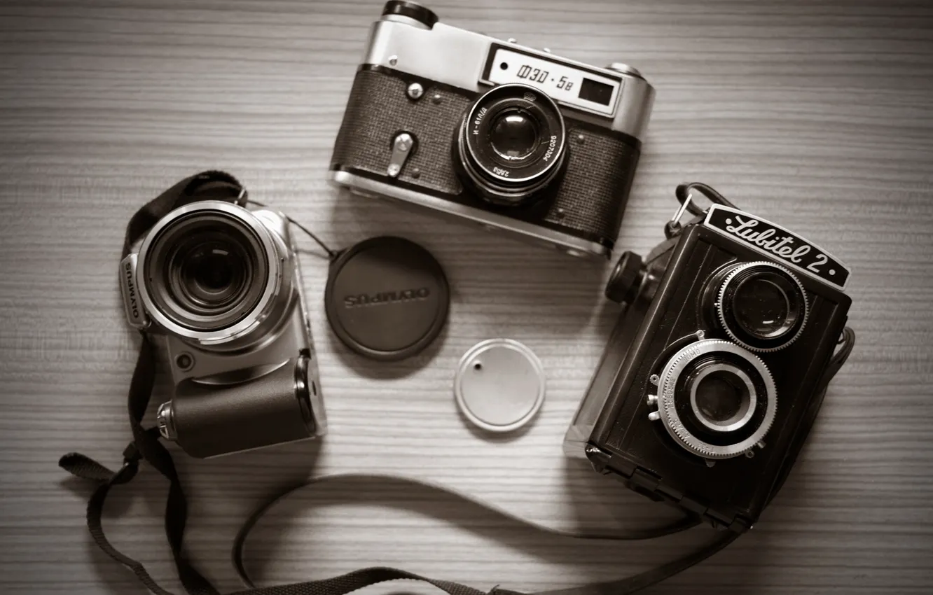 Photo wallpaper macro, background, camera