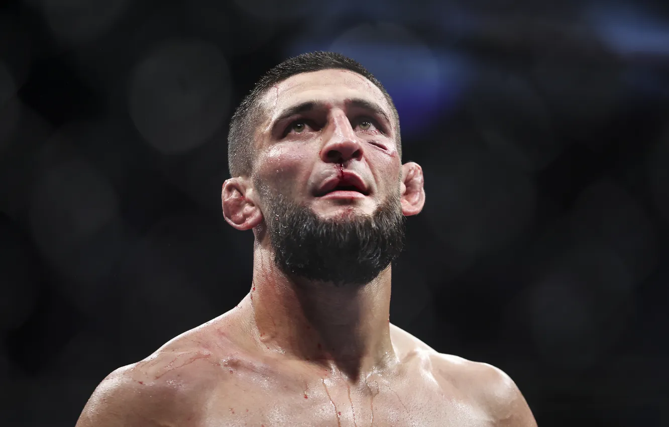 Photo wallpaper ufc, Khamzat Chimaev, Khamzat Chimaev