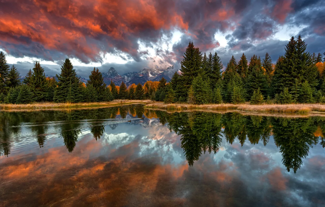 Photo wallpaper forest, the sky, clouds, reflection, mountains, duck, Nature, morning