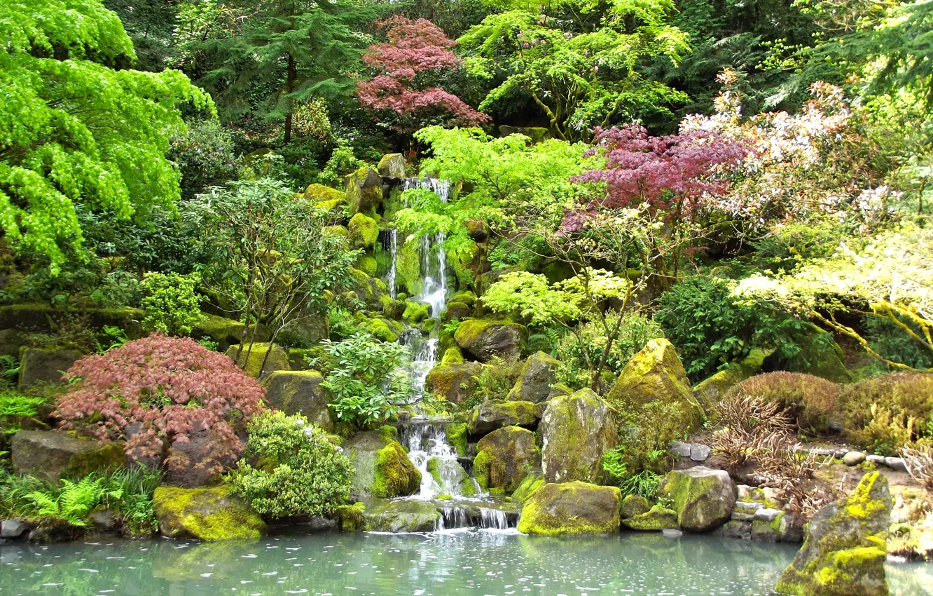 Photo wallpaper trees, pond, stones, waterfall, moss, garden, the bushes