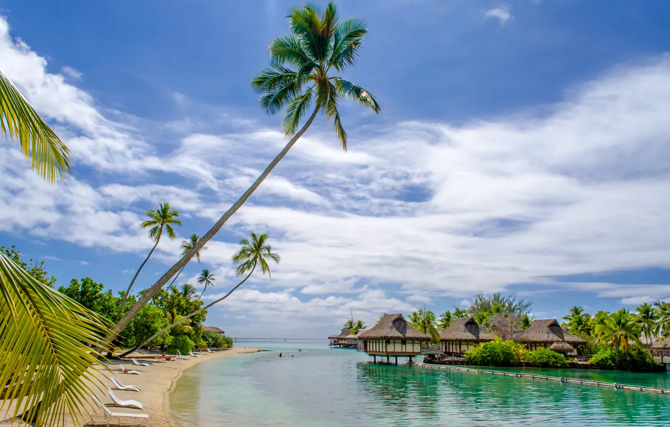 Photo wallpaper sea, beach, tropics, palm trees, house, summer, sunshine, beach