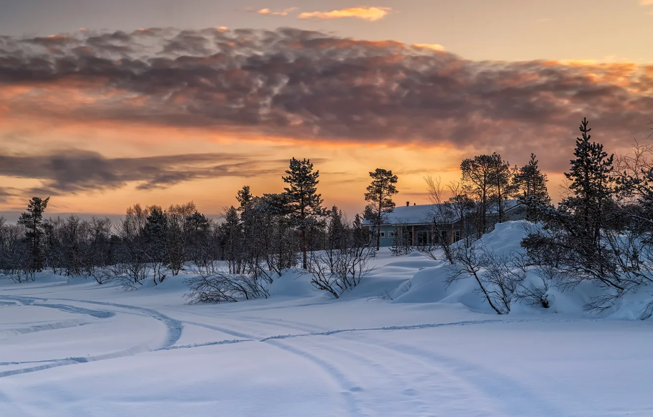 Photo wallpaper winter, the sky, clouds, snow, trees, house, track, pine