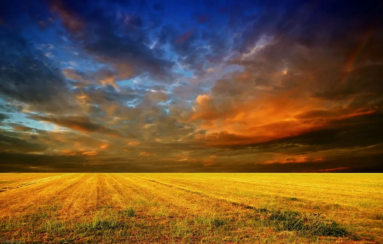 Photo wallpaper field, the sky, clouds
