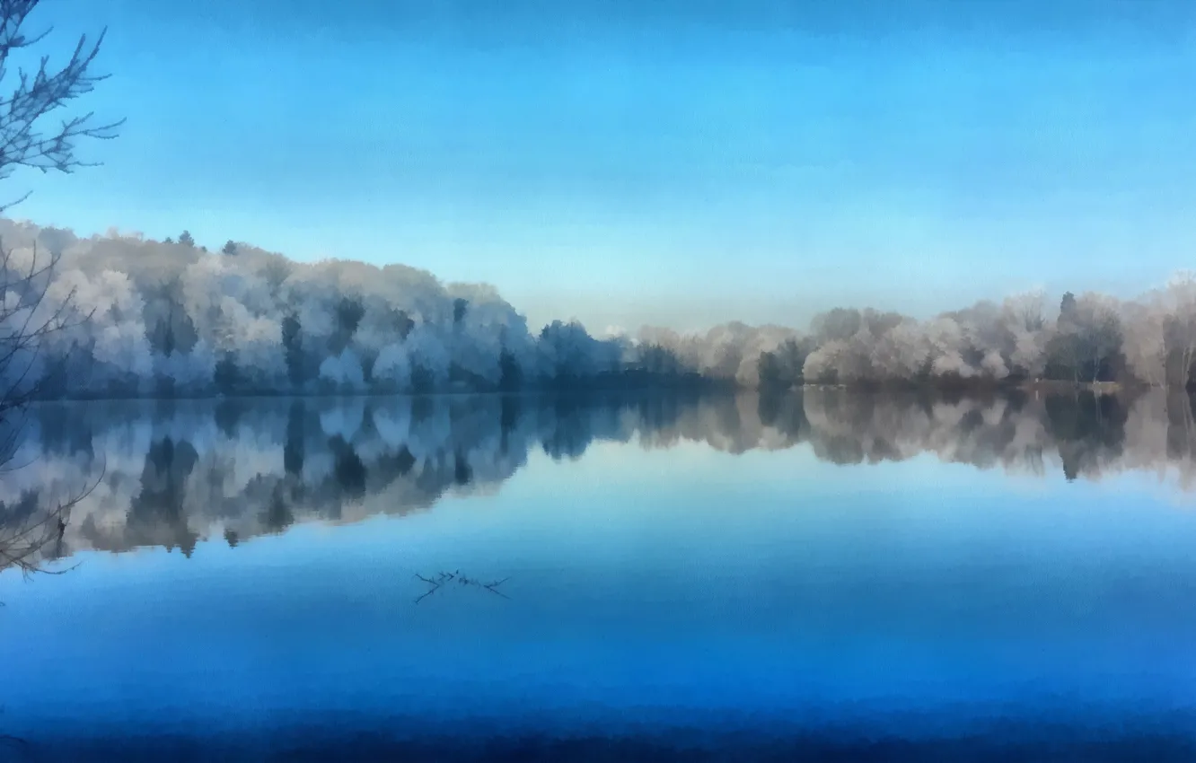 Photo wallpaper trees, lake, reflection