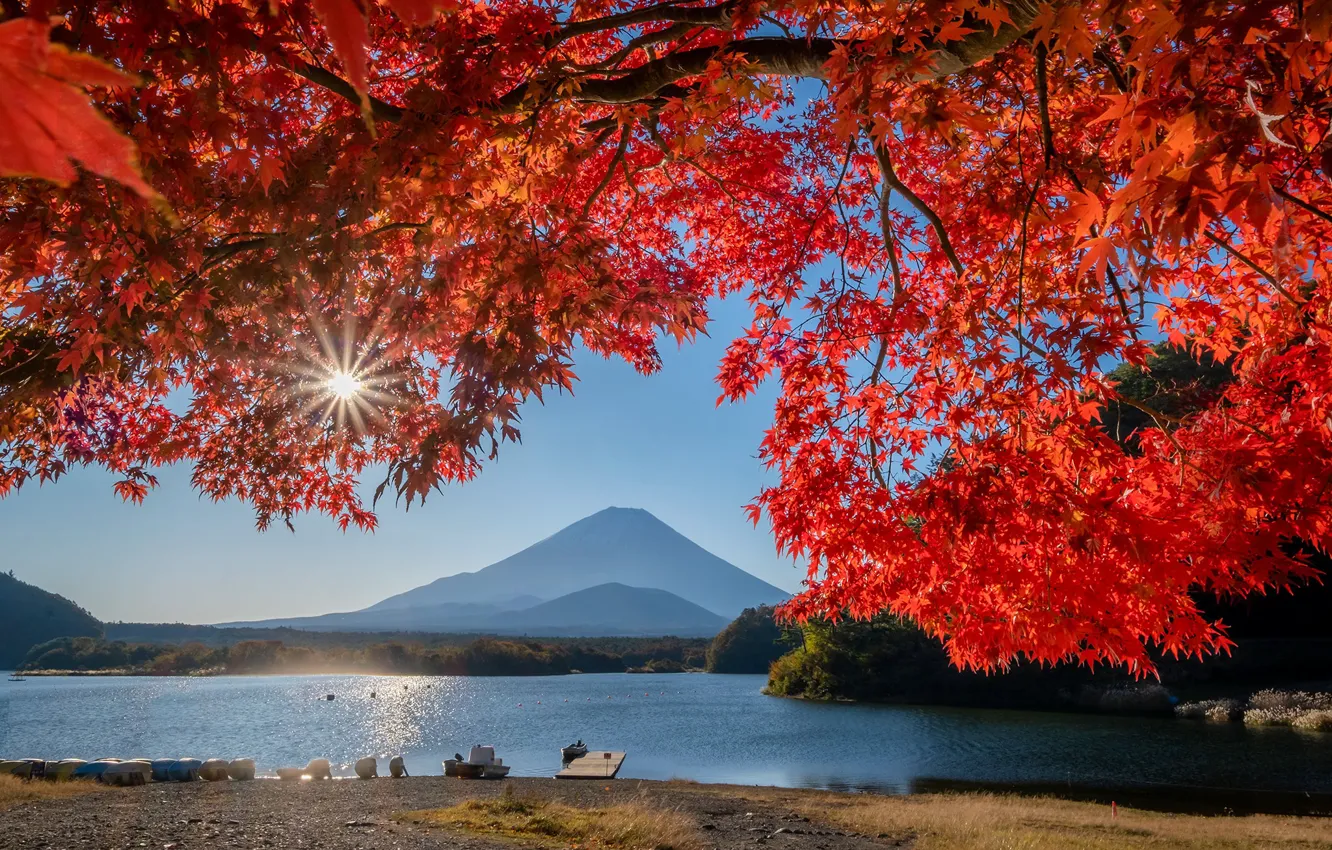 Photo wallpaper autumn, leaves, lake, Japan, mount Fuji