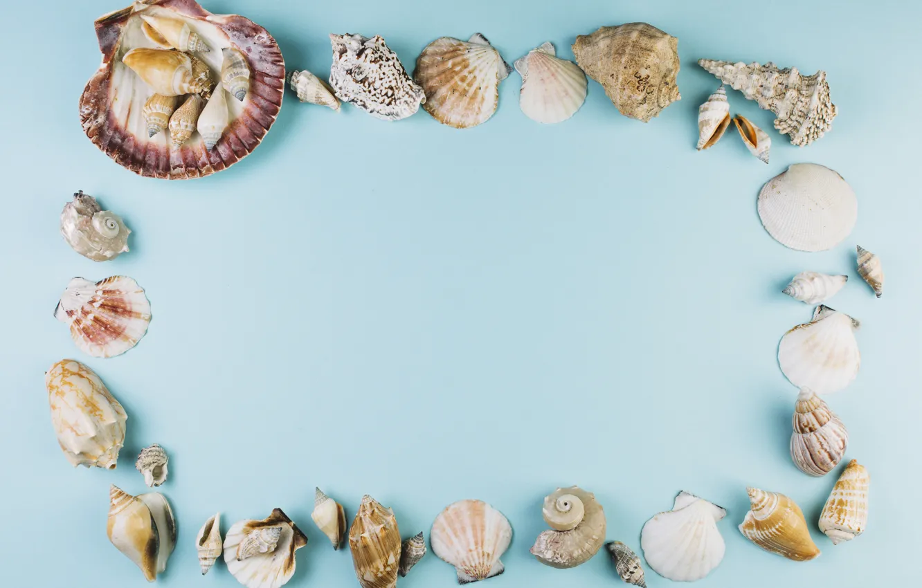 Photo wallpaper sea, background, shell
