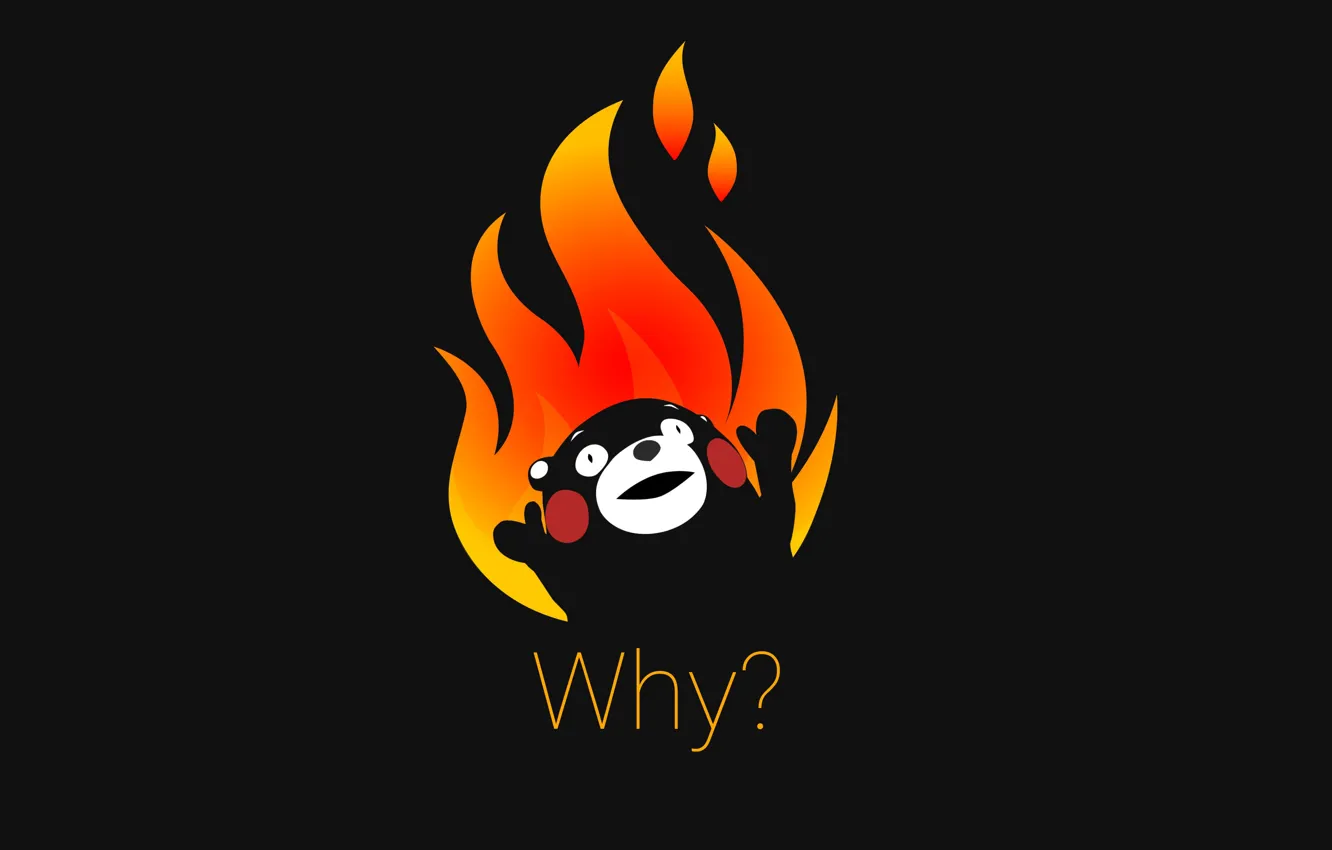 Photo wallpaper fire, minimalism, of course, memes, in the name of Satan, why?