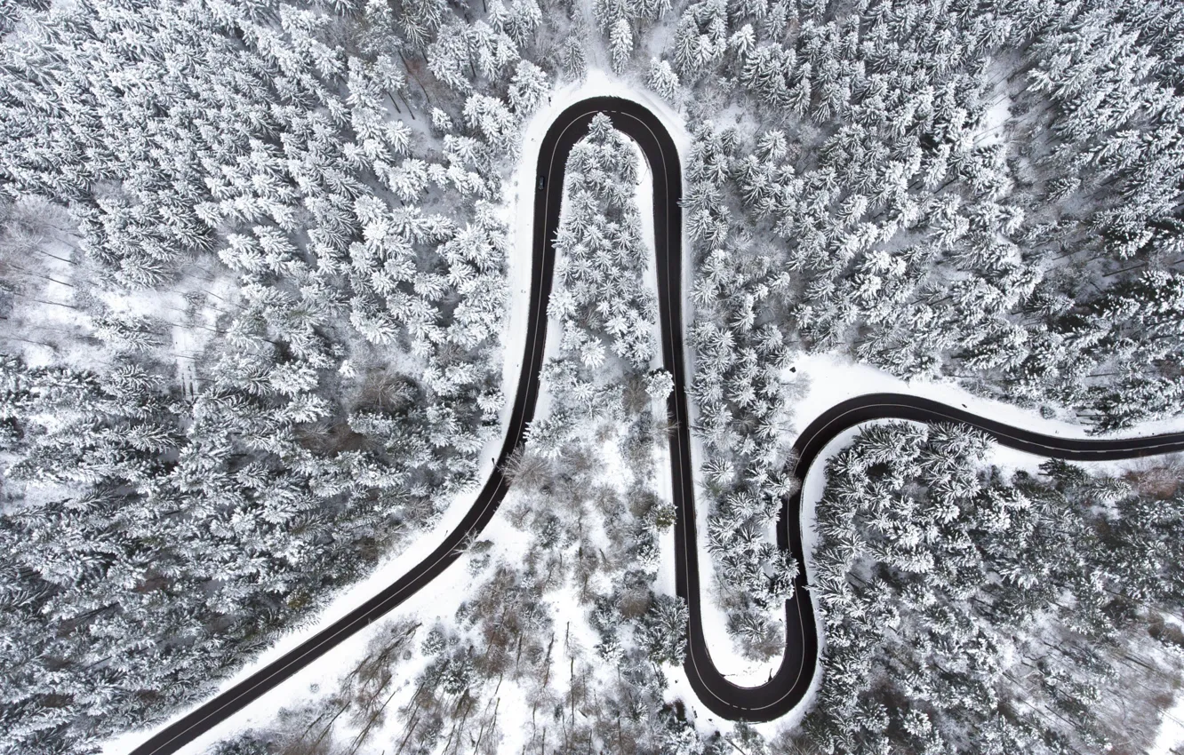 Photo wallpaper winter, road, forest, snow, the view from the top