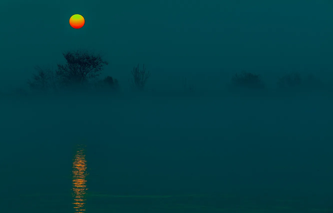 Photo wallpaper the sky, water, trees, fog, the moon