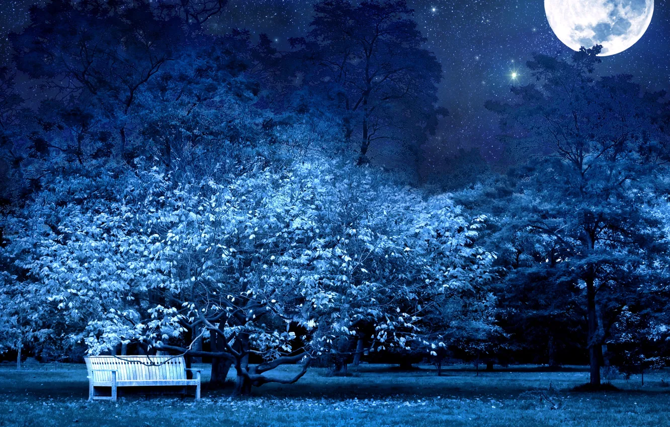 Photo wallpaper moon, blue, night, bench