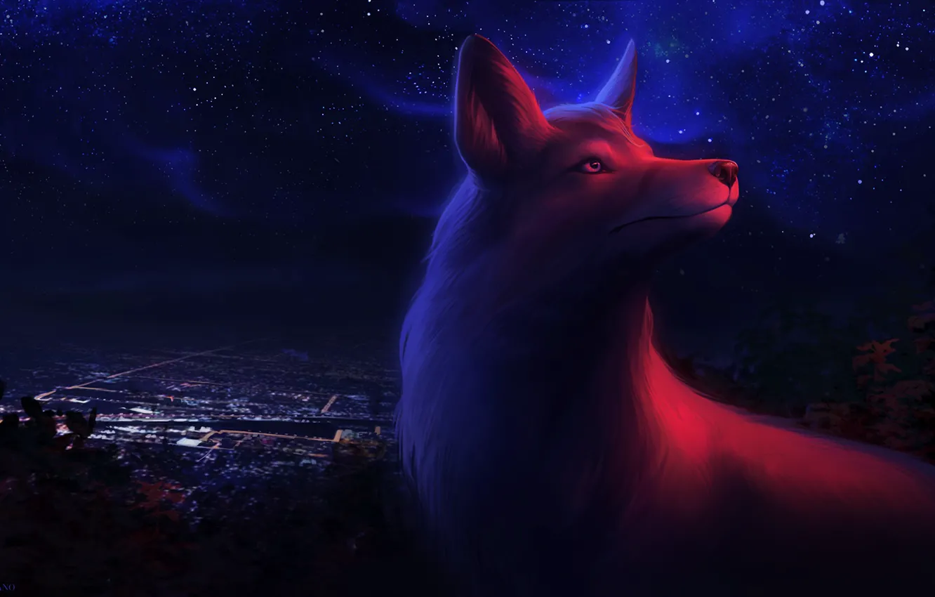Photo wallpaper night, the city, Fox, by Ciorano