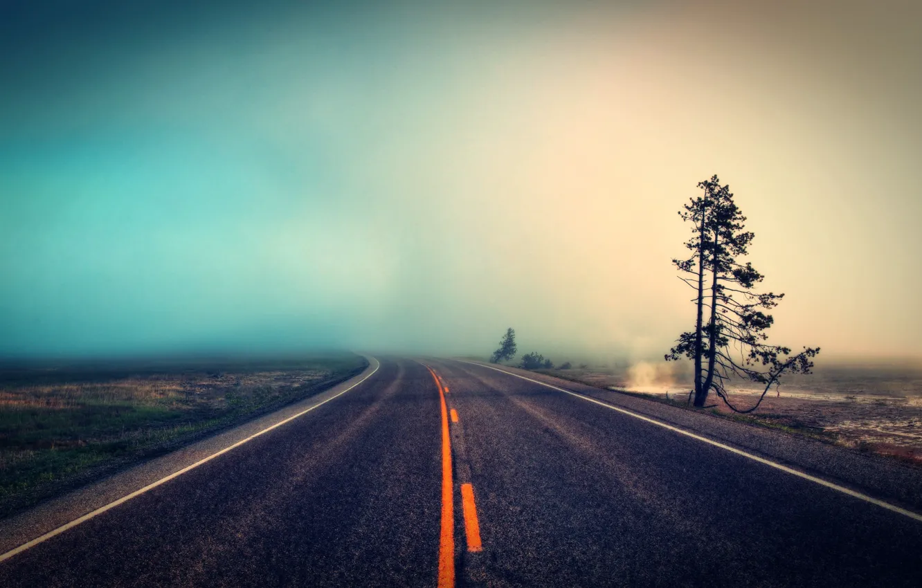 Photo wallpaper road, nature, fog, tree