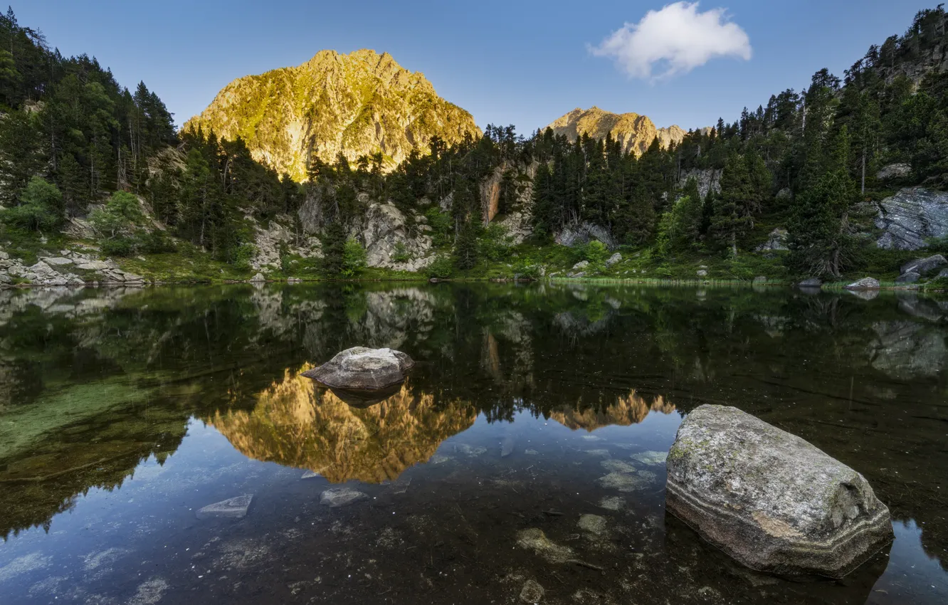 Photo wallpaper lake, reflection, mountains, rocks, shore, forest