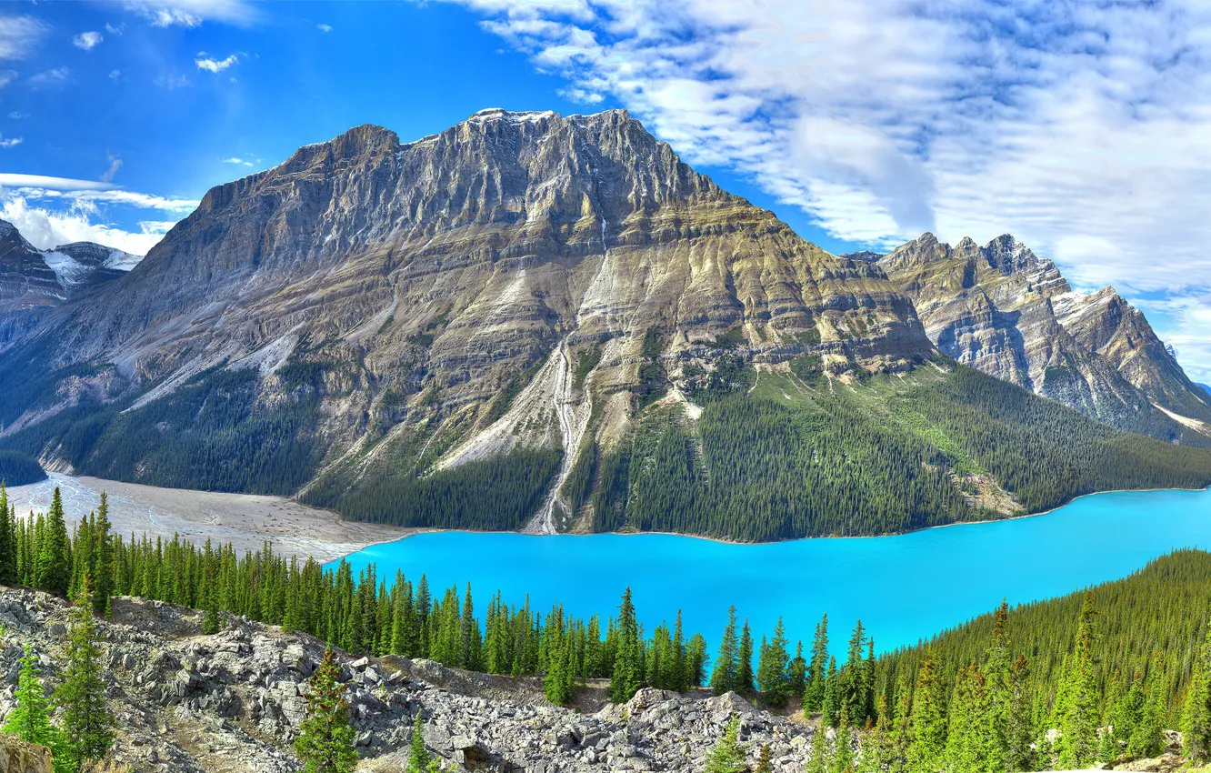 Photo wallpaper forest, the sky, clouds, trees, mountains, lake, stones, rocks