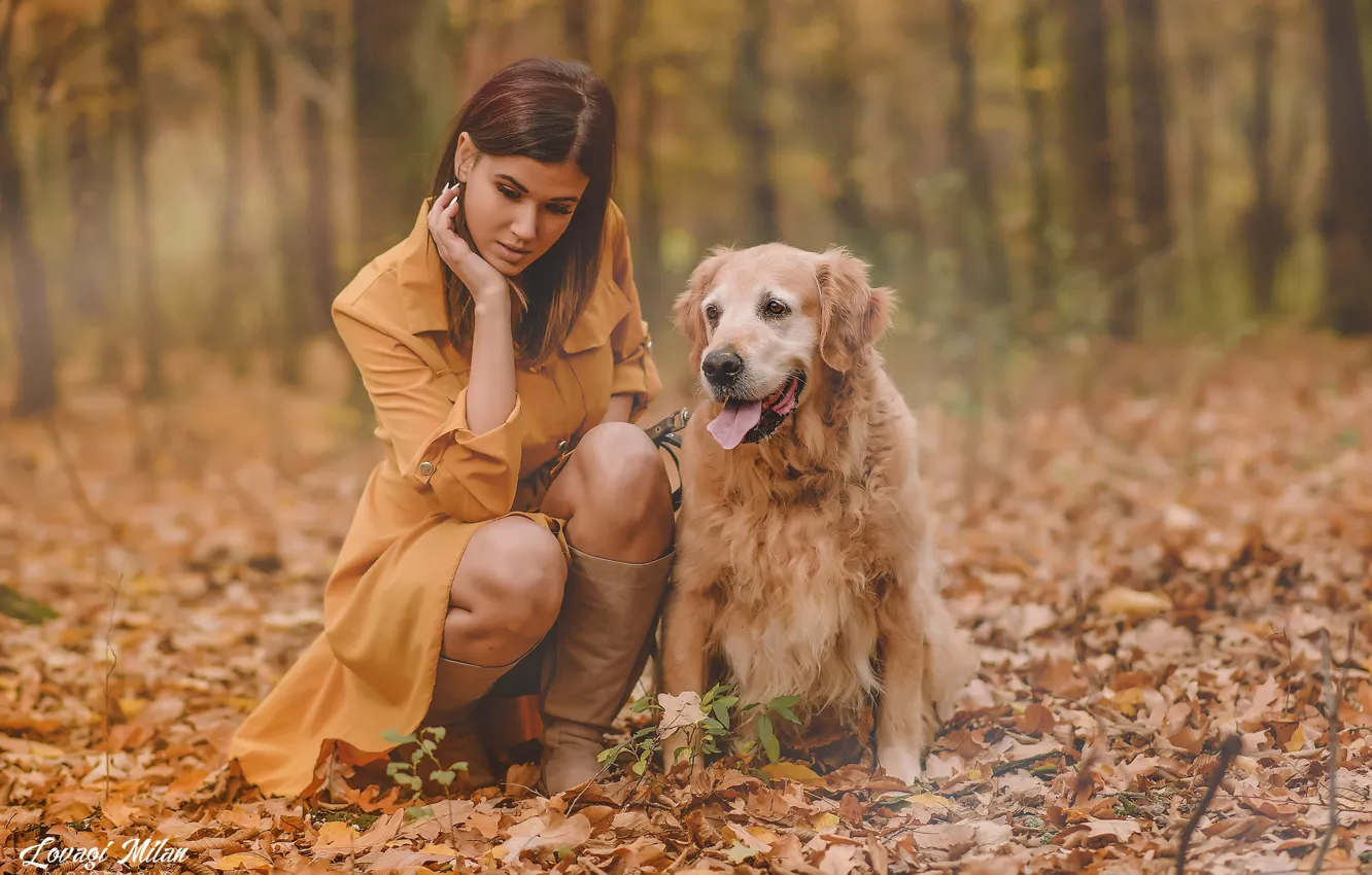 Photo wallpaper autumn, forest, look, leaves, girl, nature, pose, photo