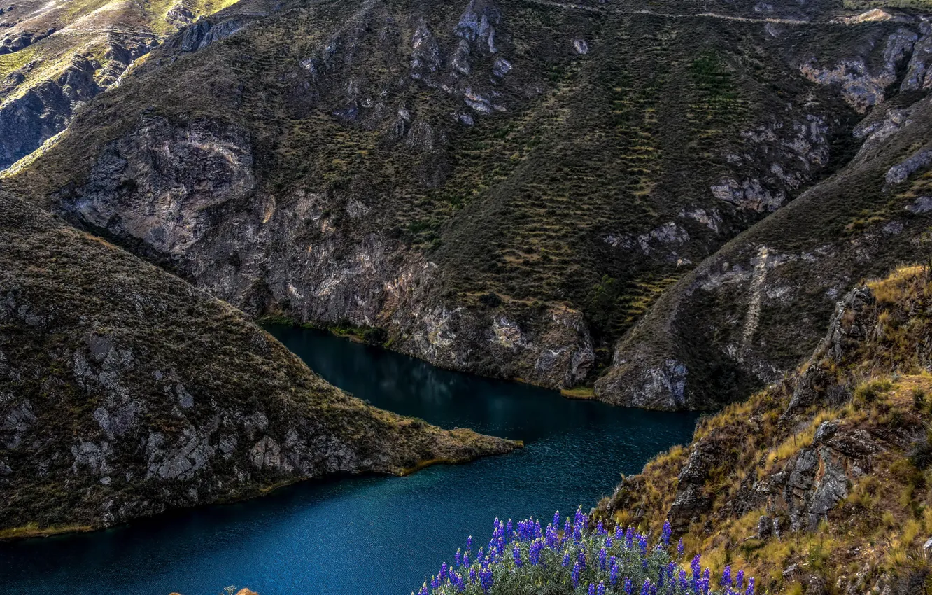 Photo wallpaper flowers, river, stones, rocks, Peru, Huancaya