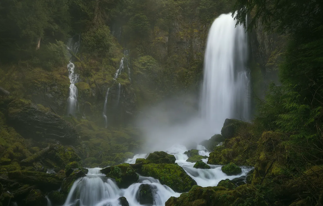Photo wallpaper forest, stones, waterfall, moss, Washington, Columbia River Gorge, Washington State, the Columbia river gorge