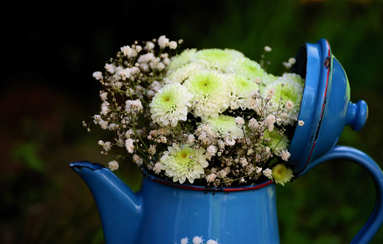 Photo wallpaper summer, flowers, blue, the dark background, bouquet, kettle, cover, white